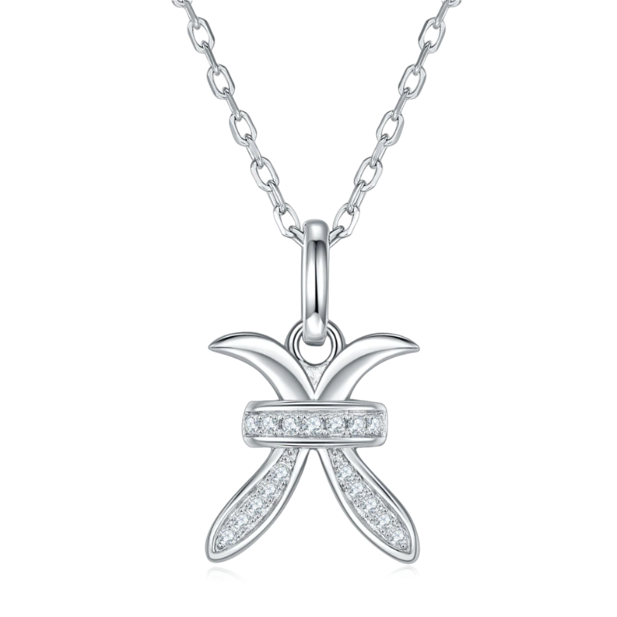 Silver necklace with a Pisces Zodiac Pendant on a white background